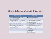 Transporto rūšys ir kategorijos 11 puslapis