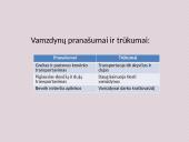 Transporto rūšys ir kategorijos 15 puslapis