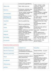 Lietuvių kalbos meninės raiškos priemonės 2 puslapis