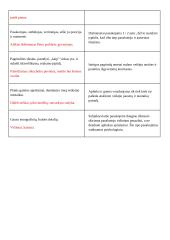 Epinio ir lyrinio pasakojimo bruožai 3 puslapis