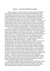 Sąžinė - moralinio tobulėjimo paskata (Biliūnas)