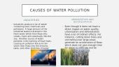 Water pollution and causes of it 6 puslapis