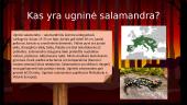 Ugninė salamandra 2 puslapis