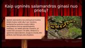 Ugninė salamandra 3 puslapis