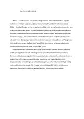 Kančios tema literatūroje