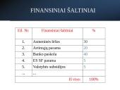 Verslo idėja - ﻿Všį „Step Up “ 2 puslapis