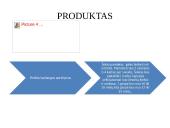 Verslo idėja - ﻿Všį „Step Up “ 5 puslapis