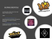 Verslo idėja - ﻿Všį „Step Up “ 9 puslapis