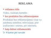 Verslo idėja - ﻿Všį „Step Up “ 10 puslapis