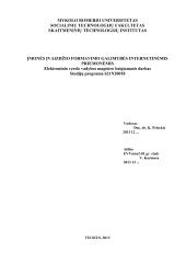 Įmonės įvaizdžio formavimo galimybės internetinėmis priemonėmis  2 puslapis