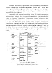 Įmonės įvaizdžio formavimo galimybės internetinėmis priemonėmis  11 puslapis