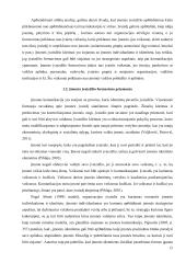 Įmonės įvaizdžio formavimo galimybės internetinėmis priemonėmis  13 puslapis