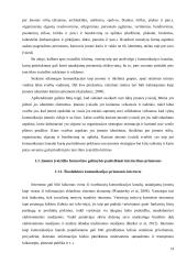 Įmonės įvaizdžio formavimo galimybės internetinėmis priemonėmis  14 puslapis