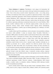 Įmonės įvaizdžio formavimo galimybės internetinėmis priemonėmis  6 puslapis