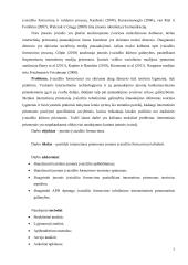Įmonės įvaizdžio formavimo galimybės internetinėmis priemonėmis  7 puslapis
