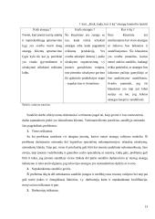 Atsargų valdymo optimizavimas baldų gamybos sektoriuje 11 puslapis