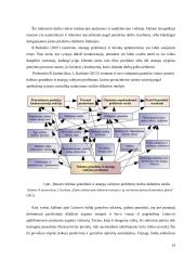 Atsargų valdymo optimizavimas baldų gamybos sektoriuje 12 puslapis