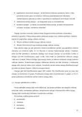 Atsargų valdymo optimizavimas baldų gamybos sektoriuje 19 puslapis