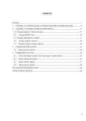 Atsargų valdymo optimizavimas baldų gamybos sektoriuje 2 puslapis