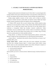 Atsargų valdymo optimizavimas baldų gamybos sektoriuje 7 puslapis