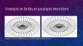 Iliuzijos. Suvokimo kūrimas 10 puslapis