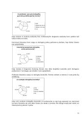 Marketingo plano projektas  15 puslapis