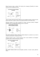 Marketingo plano projektas  16 puslapis