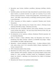 Romantizmas (XVIII a. pab. – XIX a. pr.) 12 puslapis