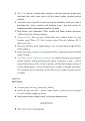 Romantizmas (XVIII a. pab. – XIX a. pr.) 4 puslapis