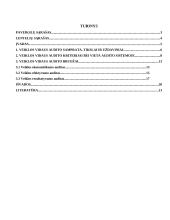 Vidaus veiklos auditas ir jo ypatumai 2 puslapis