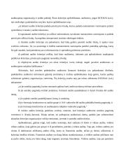 Vidaus veiklos auditas ir jo ypatumai 11 puslapis