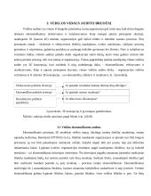 Vidaus veiklos auditas ir jo ypatumai 13 puslapis