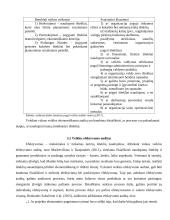 Vidaus veiklos auditas ir jo ypatumai 15 puslapis