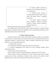 Vidaus veiklos auditas ir jo ypatumai 17 puslapis