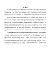 Vidaus veiklos auditas ir jo ypatumai 20 puslapis