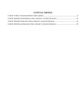 Vidaus veiklos auditas ir jo ypatumai 4 puslapis