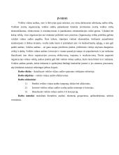 Vidaus veiklos auditas ir jo ypatumai 5 puslapis