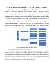 Vidaus veiklos auditas ir jo ypatumai 8 puslapis