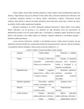 Vidaus veiklos auditas ir jo ypatumai 9 puslapis