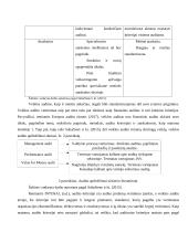 Vidaus veiklos auditas ir jo ypatumai 10 puslapis