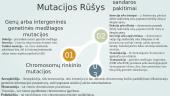 Mutacija ir genetinės ligos 5 puslapis