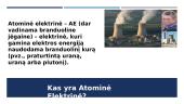 Atominės elektrinės Lietuvoje bei Černobylio avarija 2 puslapis