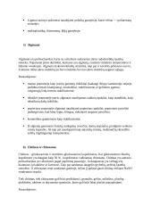 Iš atsinaujinančių šaltinių gaunami bioskalūs polimerai 4 puslapis