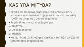 Sveika mityba prie šventinio stalo 2 puslapis
