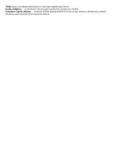 Kas yra sakramentai ir kokie jų simboliai?	 4 puslapis