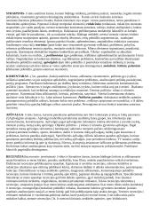 Žurnalistikos žanrai 3 puslapis