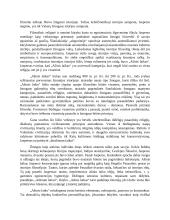 K. Jasperso „ašinio laiko“ teorijos aiškinimas 2 puslapis