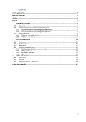Verslo idėja - pristatymas į namus 2 puslapis