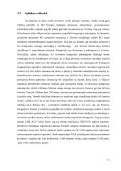 Verslo idėja - pristatymas į namus 11 puslapis