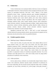 Verslo idėja - pristatymas į namus 12 puslapis